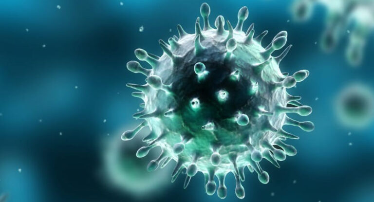 Scopri di più sull'articolo Influenza