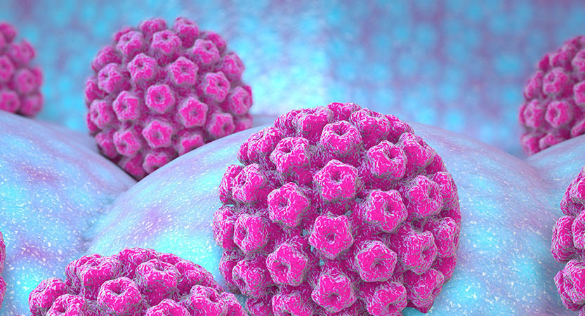 Al momento stai visualizzando Human papillomavirus (HPV)