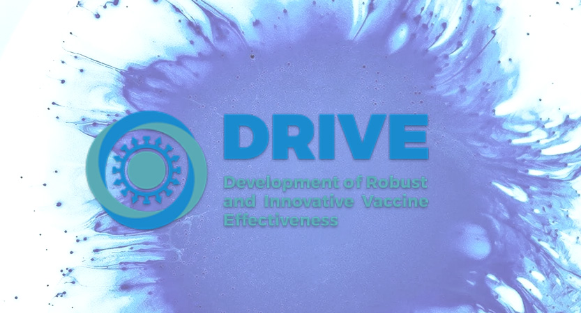 Al momento stai visualizzando Progetto DRIVE