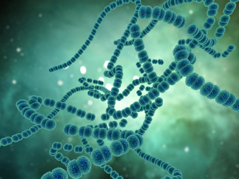 Scopri di più sull'articolo Pneumococco